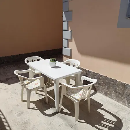 Geko Del Sud